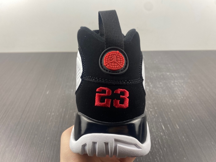 Air Jordan 9 Retro OG  302370-112