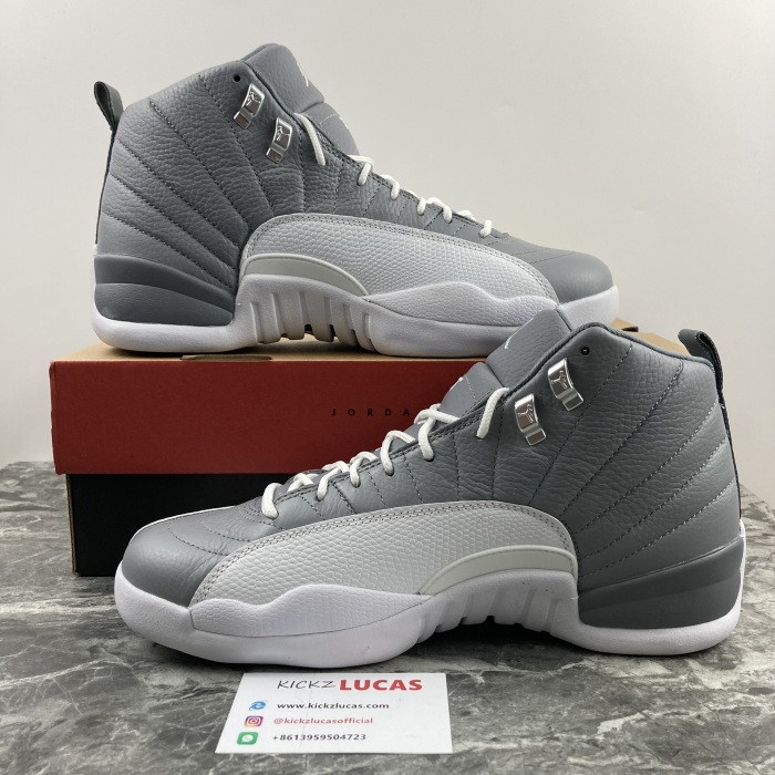 Air Jordan 12 Retro Stealth  CT8013-015