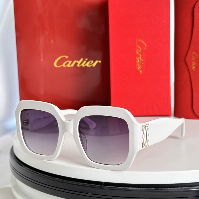 C*artieGlasses Top XX 20240717-9