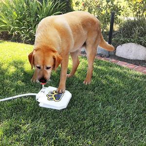 Outdoor Dog Pet Water Fountain