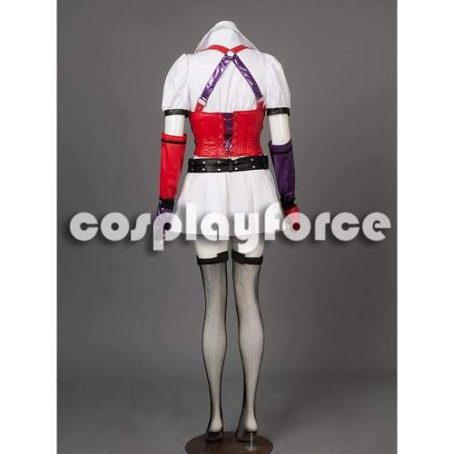 Batman: Arkham Asylum City - Harley Quinn Cosplay Costume