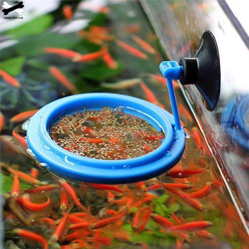 Aquarium Feeding Ring