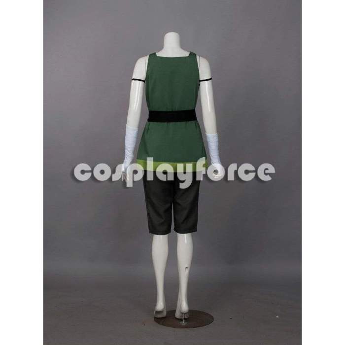 The Legend Of Korra Season 4 Book Four: Balance Korra Cosplay Costume