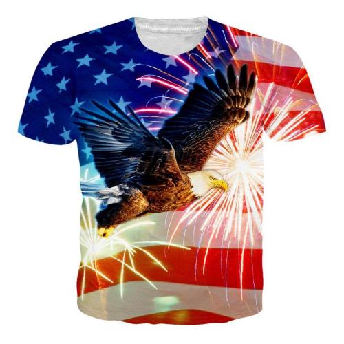 Eagle Firework Usa Flag Shirt