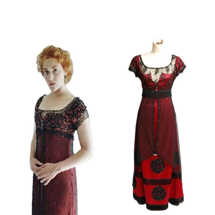 Titanic Rose Jump Dress Costume Edwardian