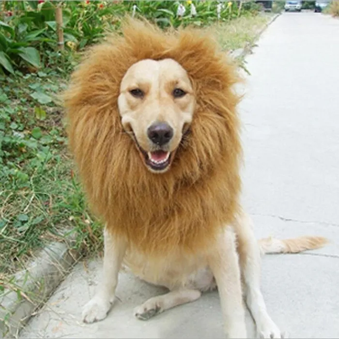 Pets Cosplay Clothes Transfiguration Costume Lion Wig For Dog And Cat