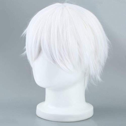 Halloween Masquerade Party Costumers Tokyo Ghoul Cosplay Hairs Short Straight Silver Gray Color Silk Synthetic Hair New Arrival