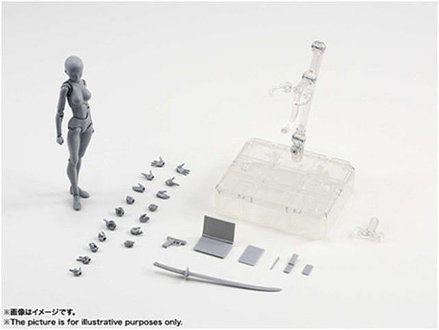 Body-Kun - Models For Artists