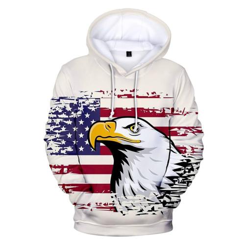 Patriotic Eagle With American Flag Hoodie