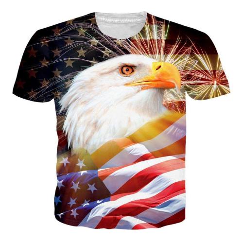 Firework Eagle Usa Flag Shirt