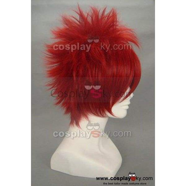 Vocaloid Akaito Cosplay Wig
