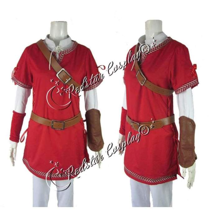 The Legend of Zelda Link cosplay costume - Custom made in Any size