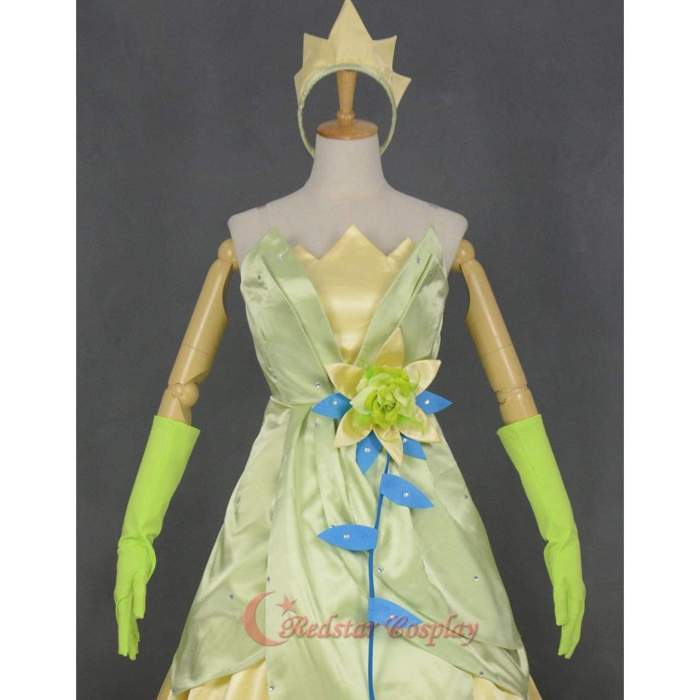 Princess And The Frog Inspired Tiana Costume Cosplay Dress Princess Tiana Frog Queen Inspired Dress Costume