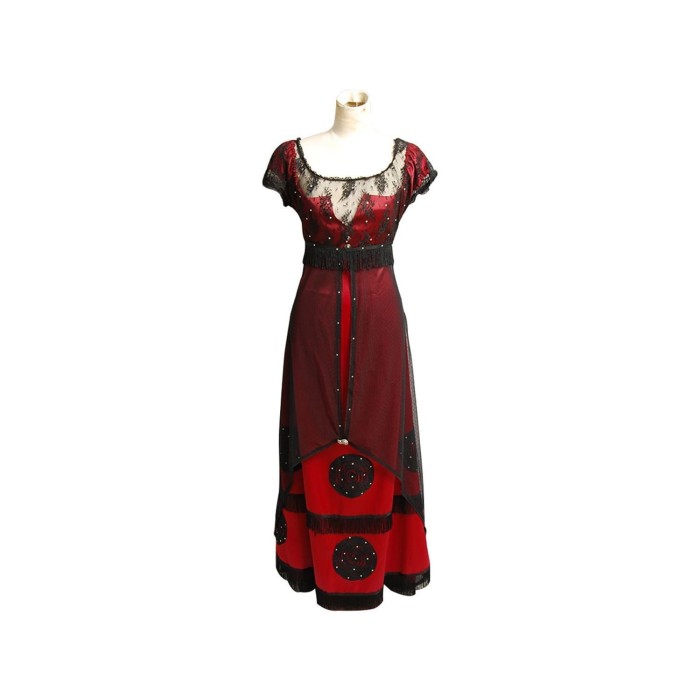 Titanic Rose Jump Dress Costume Edwardian