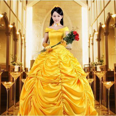 Disney & Belle Princess Cosplay Dress/Costume