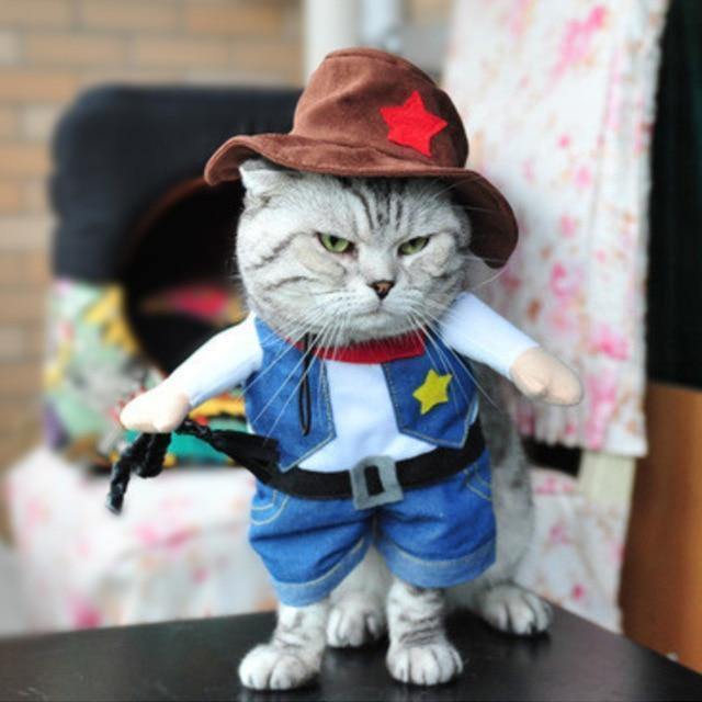 Funny Cat Clothes Pirate Suit Clothes For Cat Costume Clothing Corsair Cat Cosplay Costume