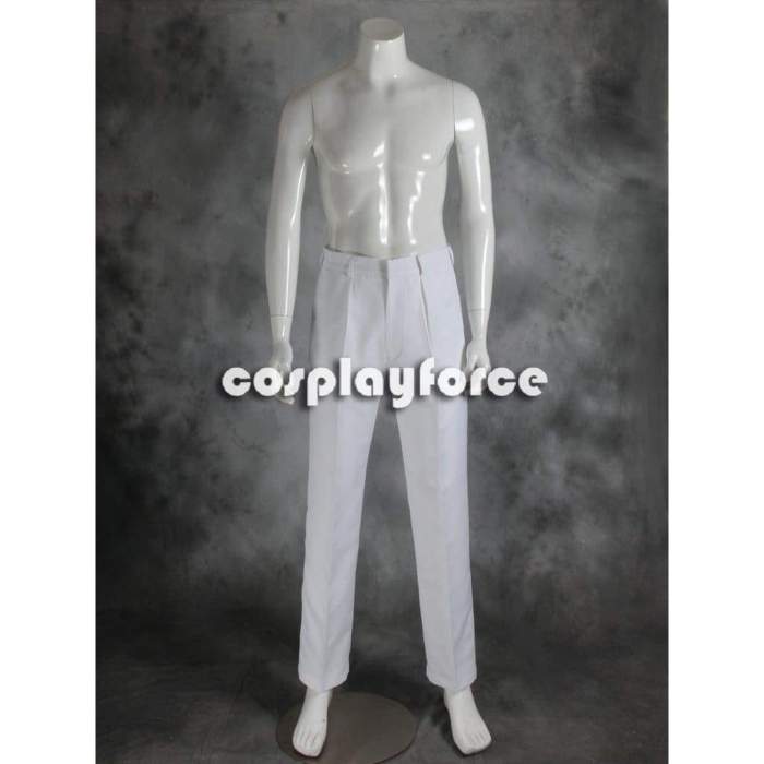 Best Fairy Tail Jellal Fernandes Cosplay Costume