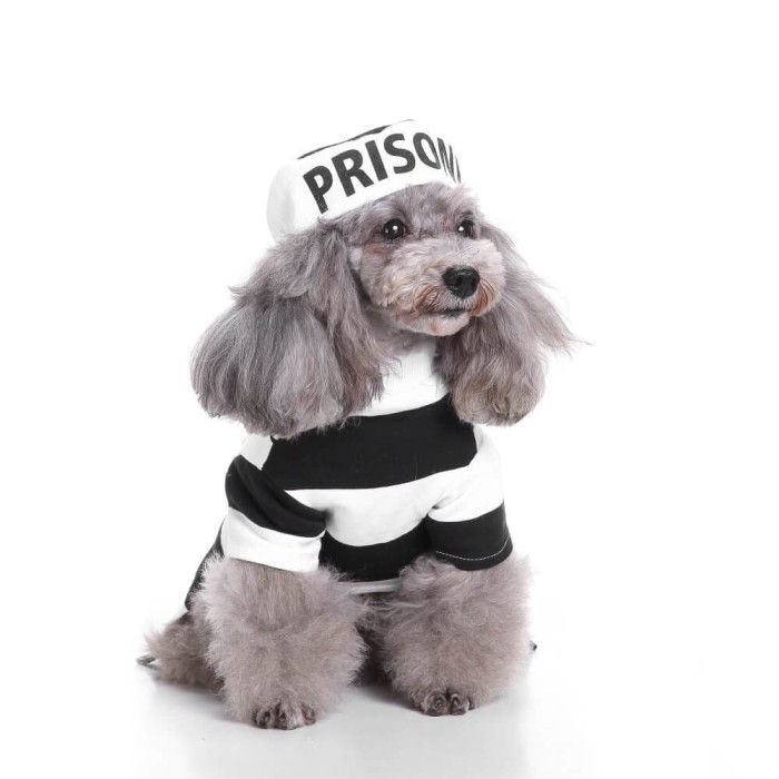 Prison Pooch Pet Costume Halloween Pet Cosplay Costume