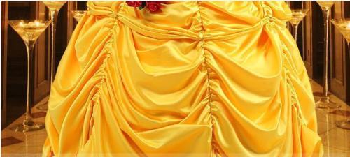  & Belle Princess Cosplay Dress/Costume