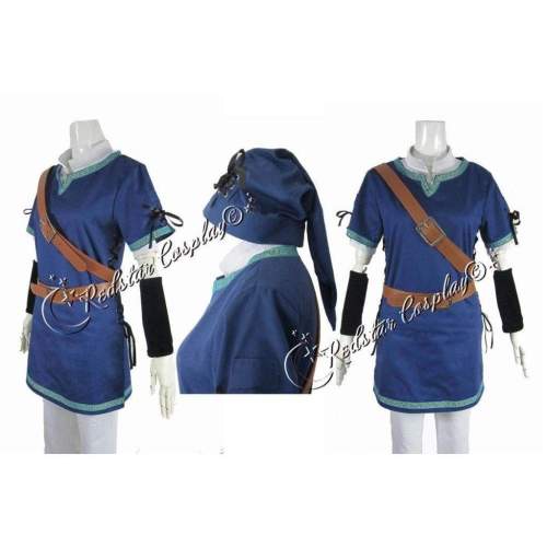 The Legend of Zelda Link cosplay costume - Custom made in Any size