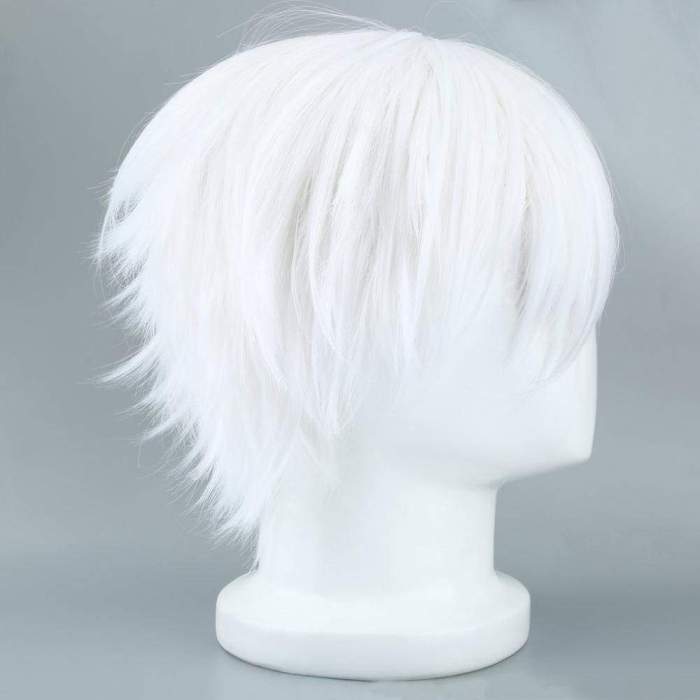 Halloween Masquerade Party Costumers Tokyo Ghoul Cosplay Hairs Short Straight Silver Gray Color Silk Synthetic Hair New Arrival