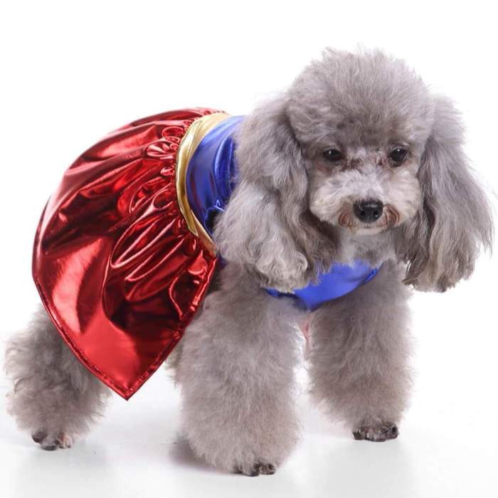 Halloween Red Super Dog Costume For Little Dogs