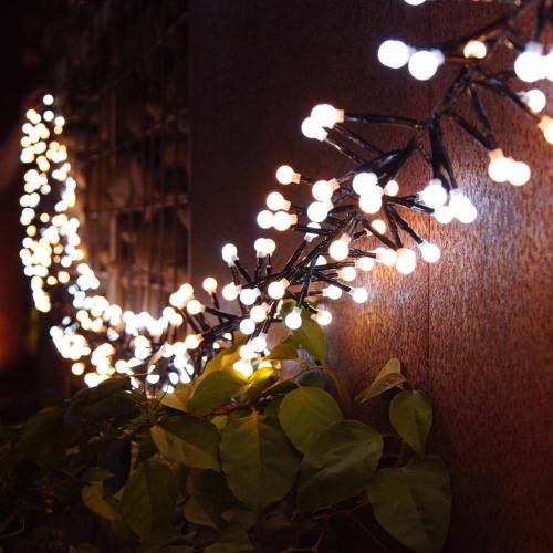 Milky Ball Firecracker Led String Light With Rattan Branch