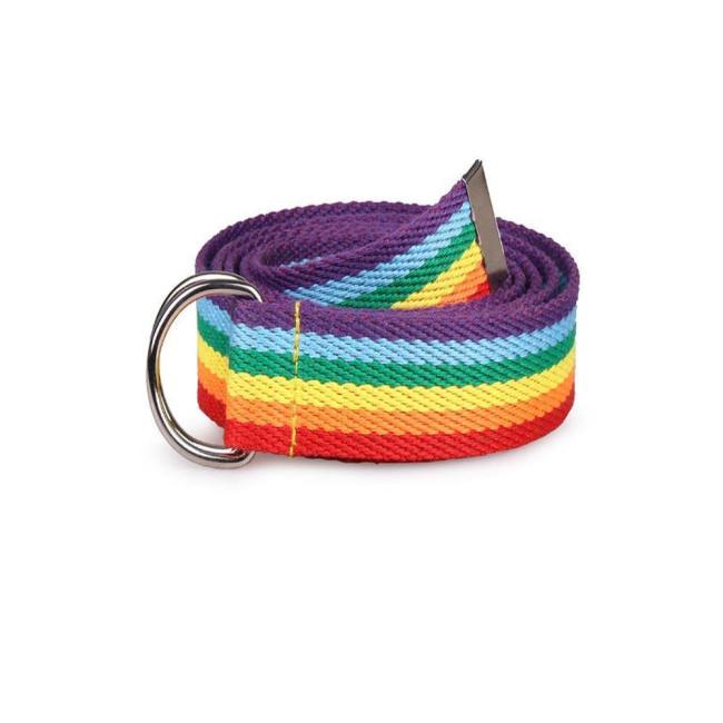 Trendy Rainbow Double D Ring Webbing Belt