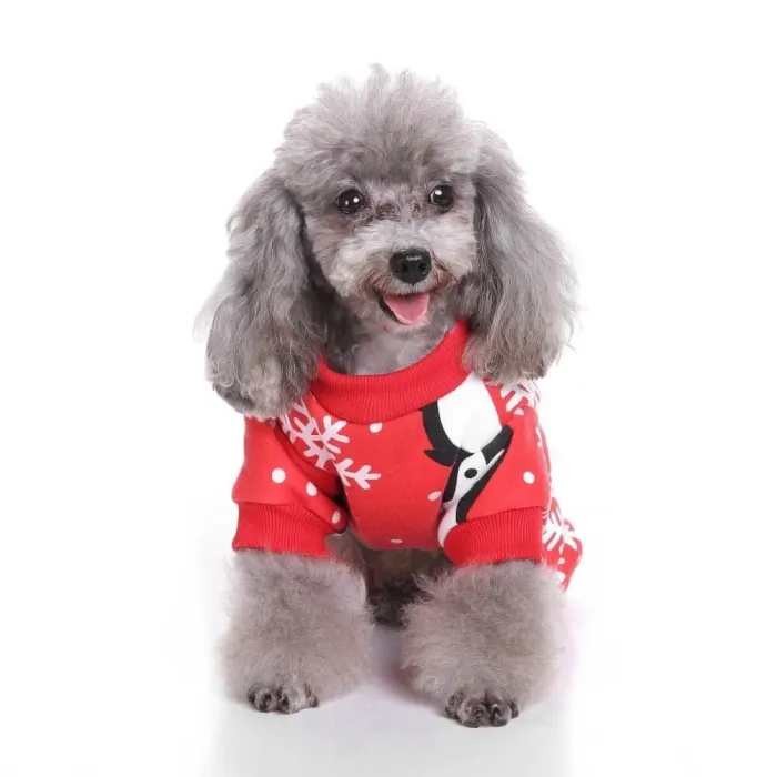 Christmas Snowflake Penguin Pattern Pet Costume