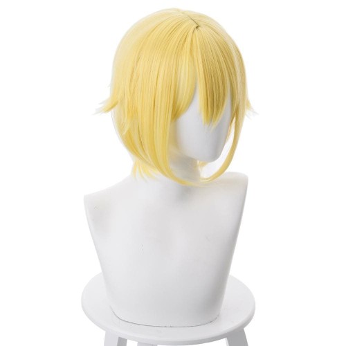 Hitoribocchi No Marumaru Seikatsu Nako Sunao Golden Wig 35Cm