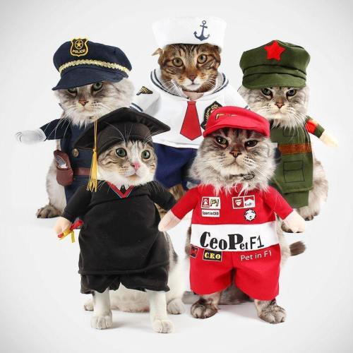 Funny Dog Cat Costumes Cosplay Suit Pet Clothing Halloween Uniform