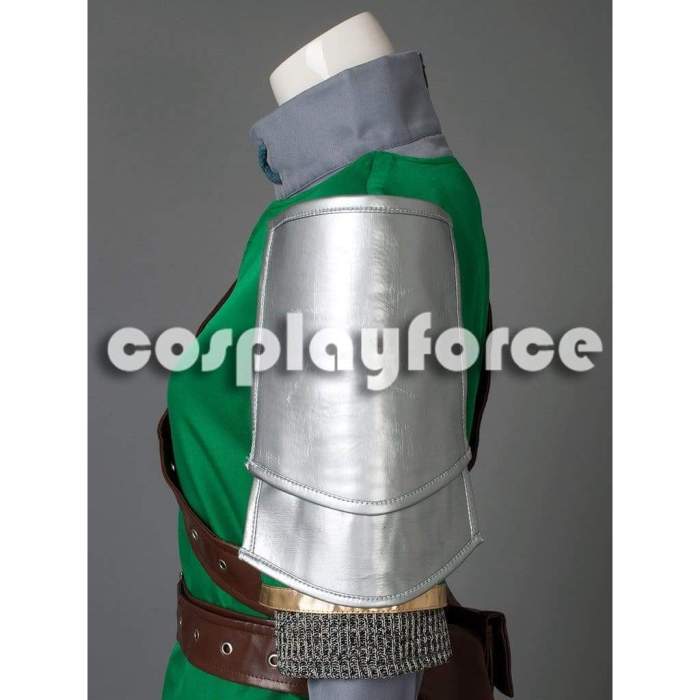 The Legend of Zelda Hyrule Warriors Link Cosplay Costume mp002133