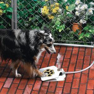 Outdoor Dog Pet Water Fountain