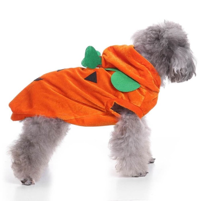 Halloween Pumpkin Pet Costume