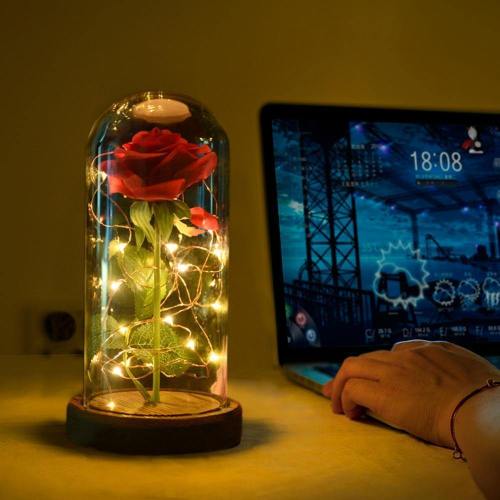 Beauty And The Beast Rose Lamp