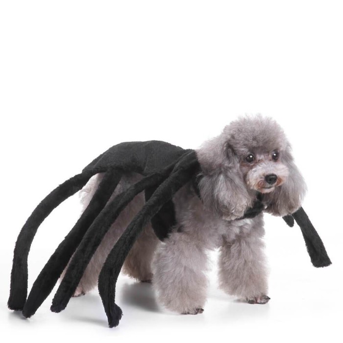 Pet Spider Costume Halloween Party Cosplay Costume
