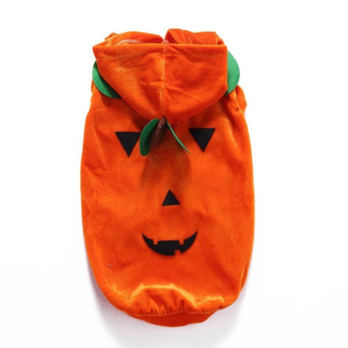 Halloween Pumpkin Pet Costume