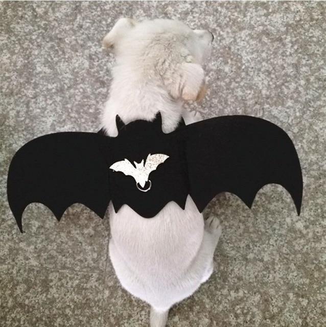 Halloween Pet Dog And Cat Costumes Bat Wings Vampire Black Cute Fancy Dress Up