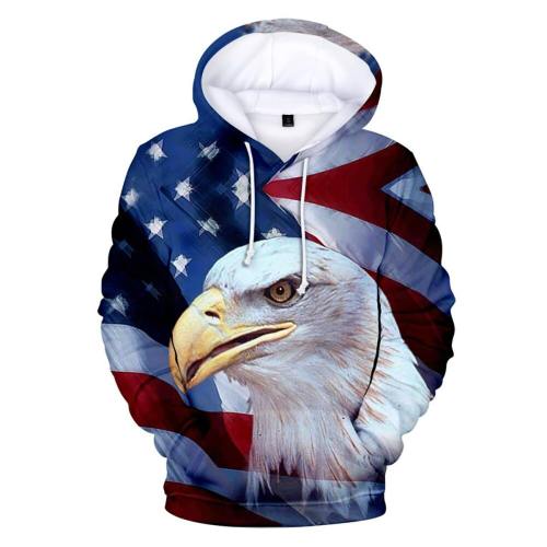 Patriotic American Flag Eagle 3D Print Hoodie