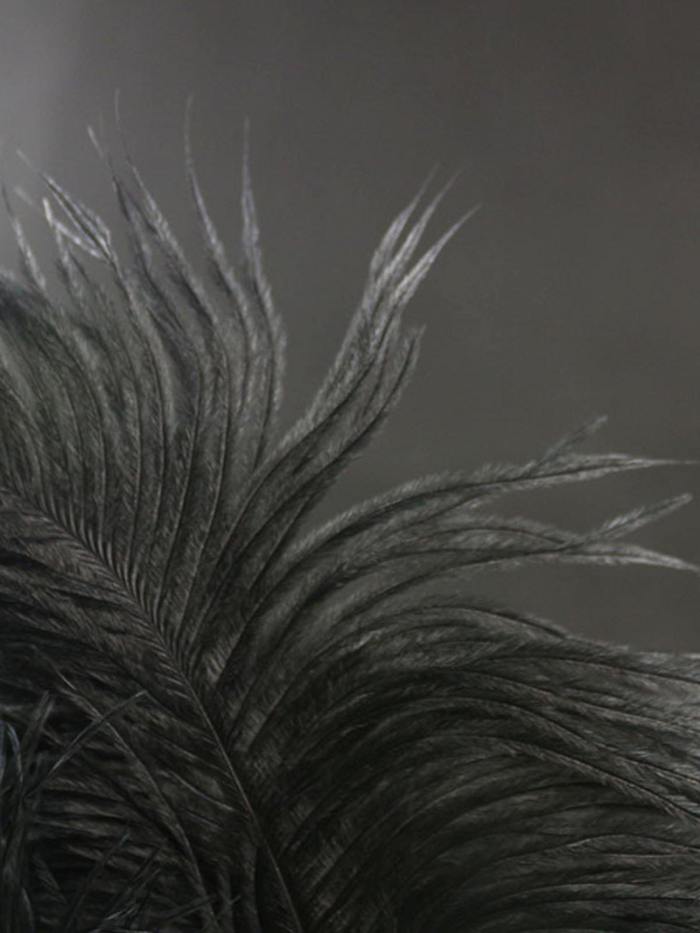 Indian Diamond Sequined Black Feather Headband