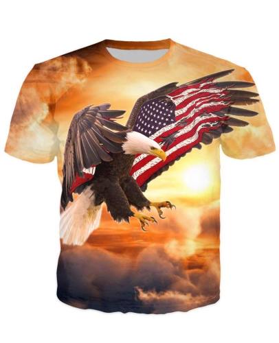Stunning Usa Eagle T-Shirt