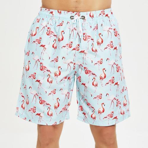 Men Flamingo Swimming Trunks Quick-Dry Beach Shorts