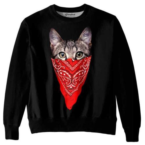 Men'S 3D Print Hoodies Cat Fashion Casual Streetwear