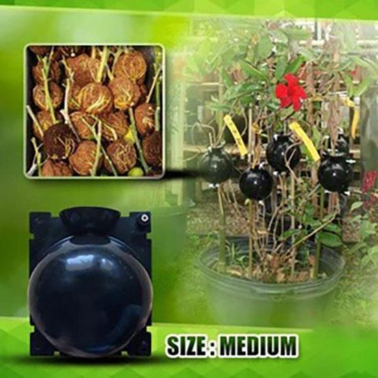 Plant Root Growing Box