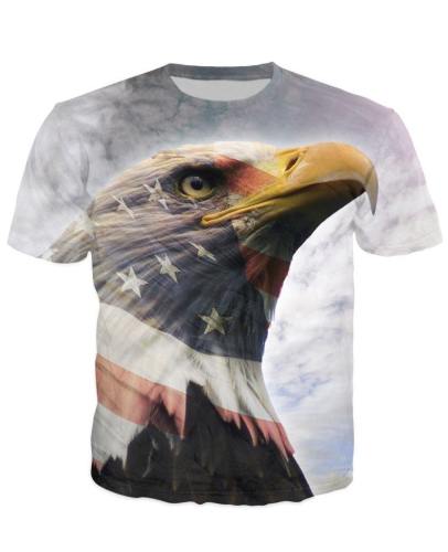Inspiring Usa Eagle T-Shirt