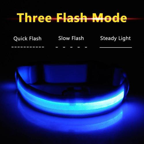 Ziggy Led Dog Collar - Usb Rechargeable - Glow In Dark