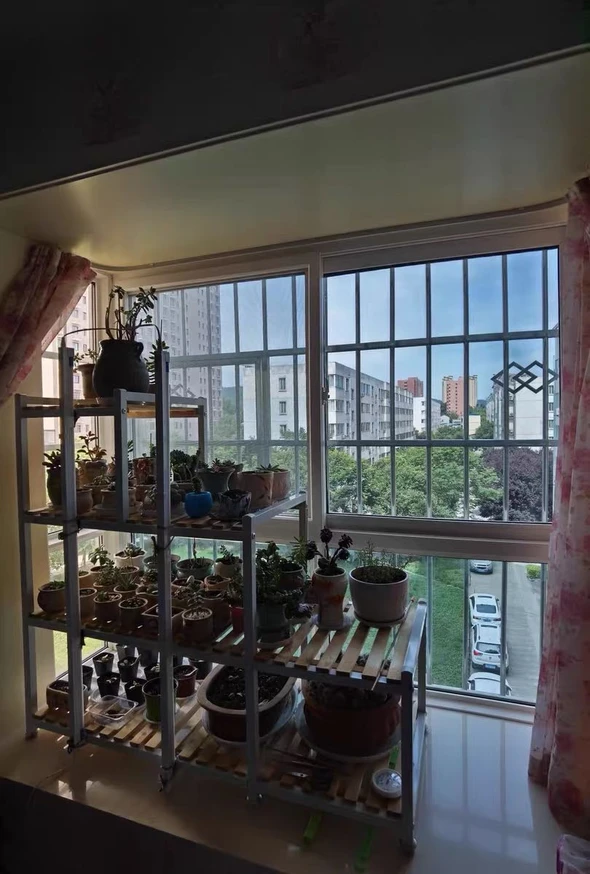 Anti-Glare Anti-Peeping Heat Insulation Film