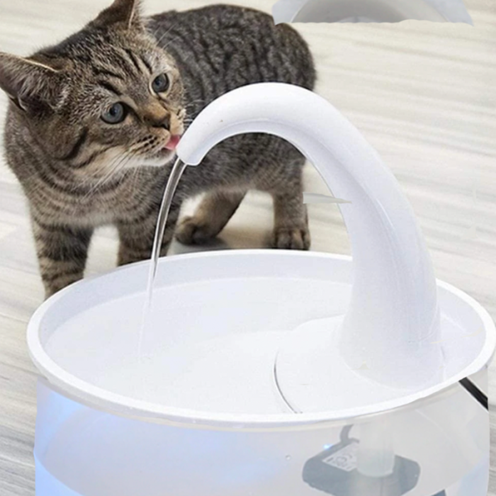 Flowy Cat Fountain