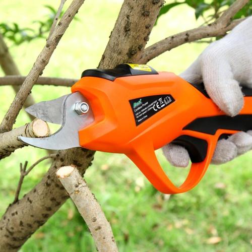 Pruning Shears & Branch Scissors