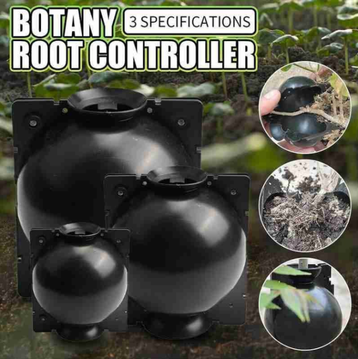 Plant Root Growing Box